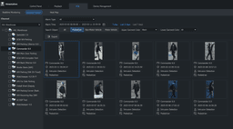 The Commander supports searching for shirt color