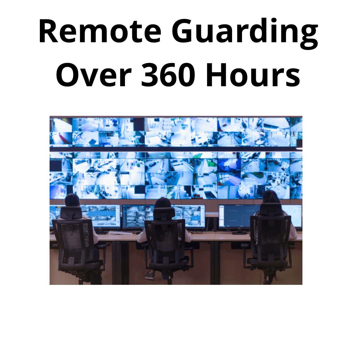 Professional Video Monitoring / Remote Guarding (1 Camera) - Over 360 hours