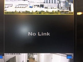 no link no camera feed on nvr