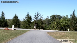 view at 125 feet from a 12mm 35 degree FOV lens 4K security camera