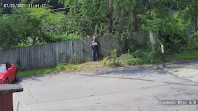 view at 100 feet from a 12mm 32 degree FOV lens 1080P security camera