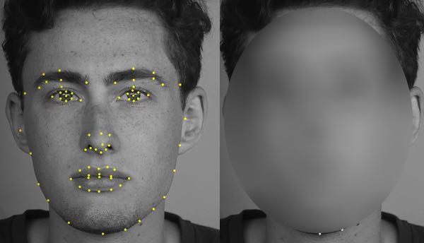 face blur GDPR