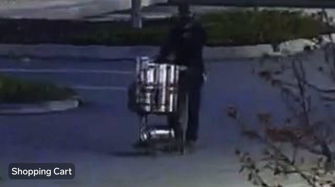 wheeled object: shopping cart