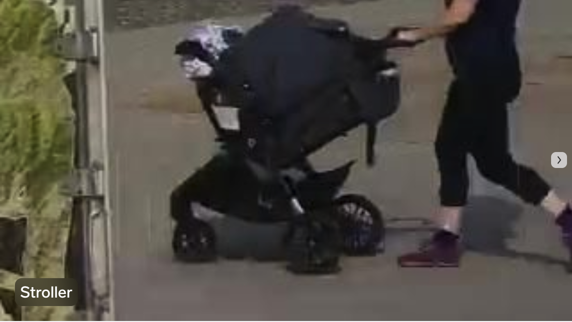 wheeled object: stroller