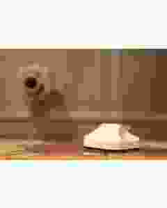 Flood, Freeze, and Overheat Sensor for SCW Shield